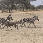 Photo taken by Kristin M