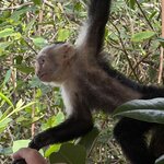 Photo taken by Morton A