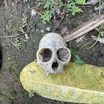 Photo taken by Emily H