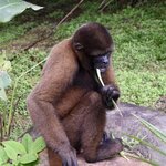 Photo taken by Joseph P