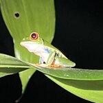 Photo taken by Patrice G