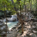 Photo taken by Thomas C