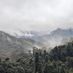 Photo taken by Judy H