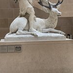 Photo taken by Ashley S