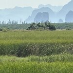 Photo taken by Margaret S