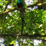 Photo taken by Darlene N