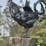 Photo taken by Shaula L