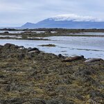 Photo taken by Scott C