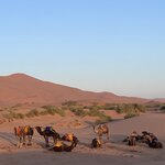 Photo taken by Hillel S