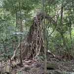 Photo taken by Joy E