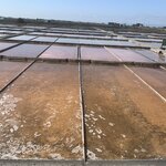 Photo taken by Dee C