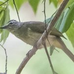 Photo taken by Graham D