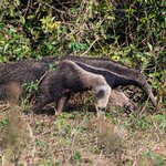 Photo taken by Matt W