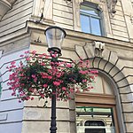 Photo taken by Jacqui B