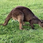 Photo taken by Rosemary S