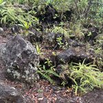 Photo taken by Jacqueline R