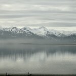 Photo taken by Dilip C