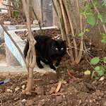 Photo taken by Betsy V