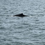 Photo taken by stefanie c