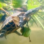 Photo taken by Jacqui O