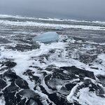 Photo taken by Sally L