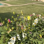 Photo taken by Maureen M