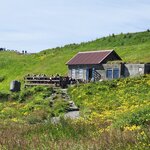 Photo taken by Mark P