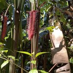 Photo taken by Susan D