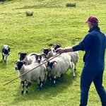 Photo taken by Heather G