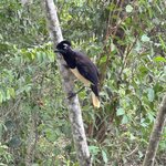 Photo taken by Jaya R