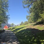 Photo taken by Vikki M