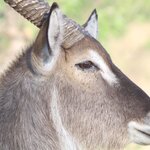 Photo taken by John B