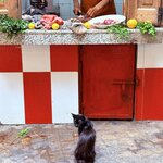 Photo taken by Patricia O