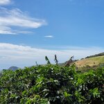 Photo taken by Steven P