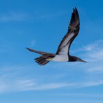 Photo taken by Jeffrey B