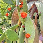 Photo taken by Patricia O