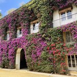 Photo taken by Gary G