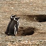 Photo taken by Chuck M