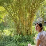 Photo taken by Matteo R