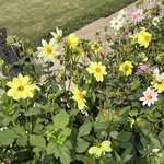 Photo taken by Maureen M