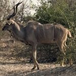 Photo taken by Paul B