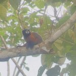 Photo taken by Breann B