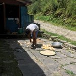 Photo taken by Joanna K