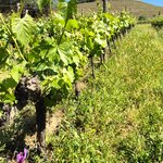 Photo taken by Vivian W