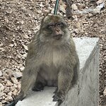 Photo taken by ANDREW L