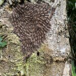 Photo taken by Breann B