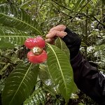 Photo taken by Dana F