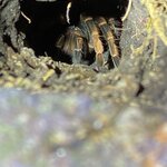 Photo taken by Darcy M