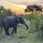 Photo taken by Christopher F