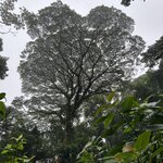 Photo taken by Peter B